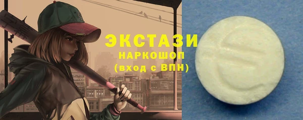 гашик Вяземский