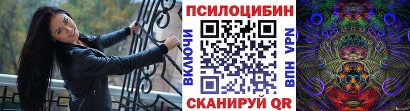 OMG ссылки Димитровград Галлюциногенные грибы ЛСД