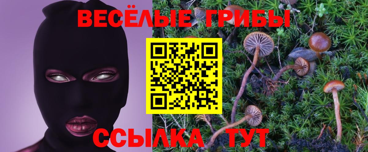 Галлюциногенные грибы мицелий Димитровград