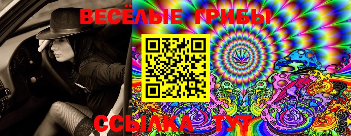 Псилоцибиновые грибы MAGIC MUSHROOMS  Димитровград  Псилоцибиновые грибы Psilocybine cubensis 